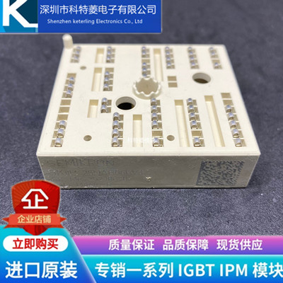 SKIIP25NAB065V1模块变频器配件