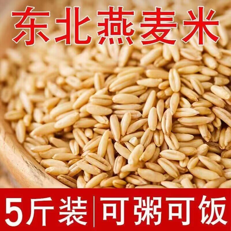 燕麦米糖病人专用食品养脾胃适合三高糖尿病孕妇控糖高血压患者吃专用主食无蔗糖零食营养食物代糖0卡糖木糖醇糖五谷杂粮