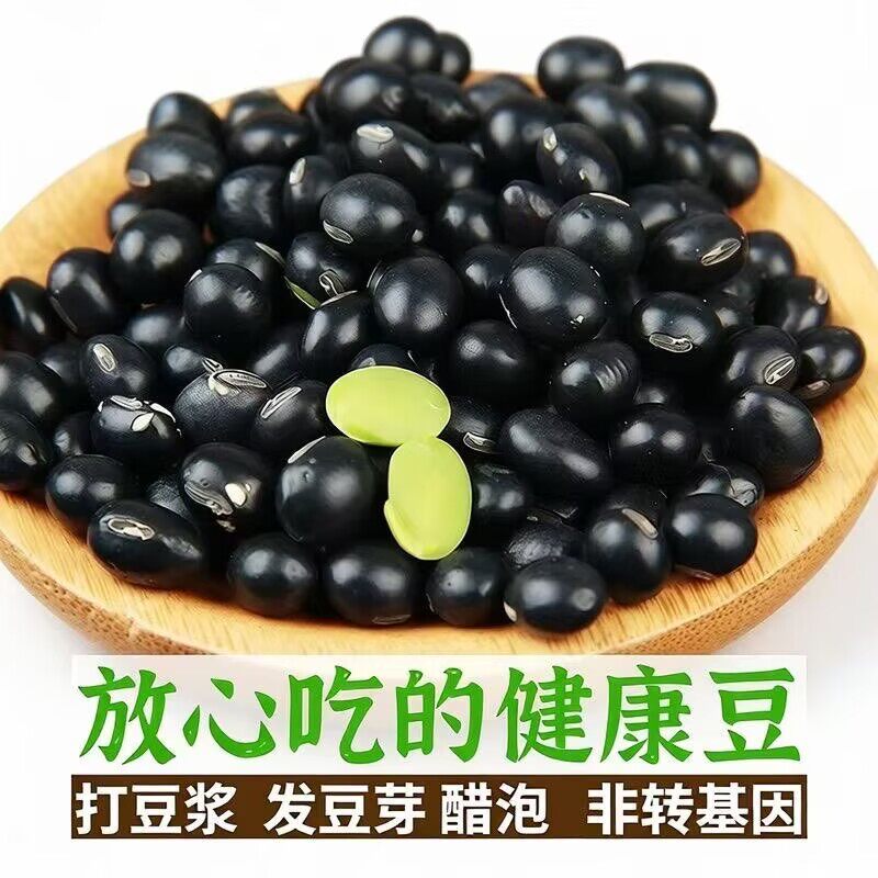 新绿芯黑豆糖尿病人专用食品养脾胃适合三高糖尿病孕妇控糖高血压患者吃专用主食无蔗糖零食营养食物代糖0卡糖木糖醇糖五谷杂粮