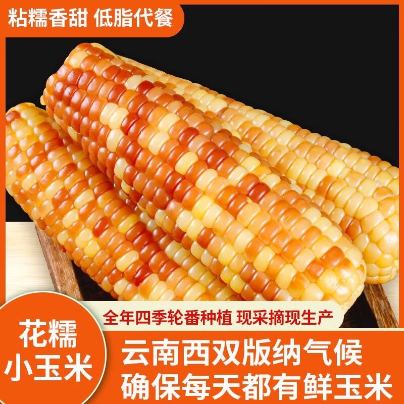 云南西双版纳小花糯玉米真空包装即食粘甜玉米轻脂代餐玉米棒三高糖尿病人养脾胃专用食品无糖食品适合糖尿病人孕妇控糖高血压患者