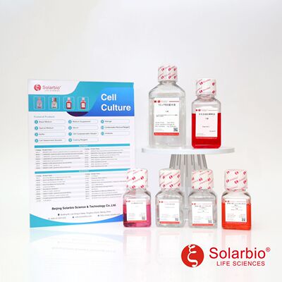 12110 DMEM(H)(无双抗 高糖)  HEPES 细胞培养基 索莱宝