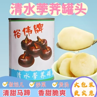 饺子混沌馅狮子头火锅炖汤炒菜 罐头567g 裕伟牌清水荸荠 马蹄