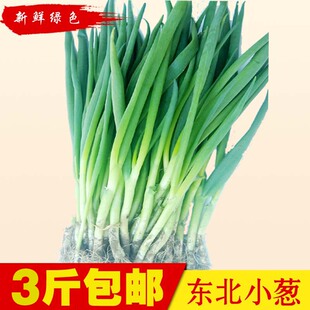 小葱 东北新鲜白露葱 发芽葱 蘸酱菜香葱 农家蔬菜 一份3斤