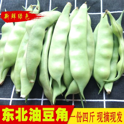 东北油豆角 农家新鲜蔬菜 大油豆农家现摘 开锅烂豆角 4斤包邮