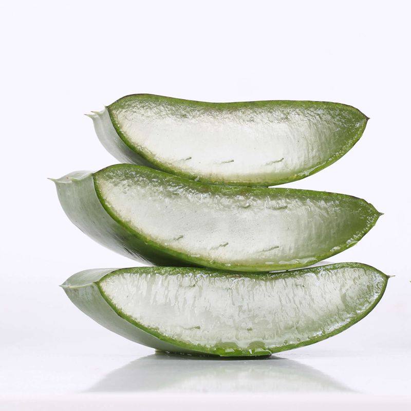 美容芦荟叶片库拉索芦荟叶新鲜大芦荟叶美容院芦荟灌肤可食用叶片,鲜花速递/花卉仿真/绿植园艺,绿植,淘宝优惠券,粉丝福利购,淘宝优惠卷