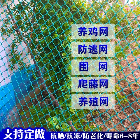 10米长家禽养殖网鸡鸭鹅网防逃网爬藤网围网网片渔网球场网护栏网
