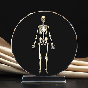 全身立体白骨观想图水晶摆件桌面工艺品摆台摆设创意礼物图片定制