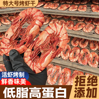 【次日达】特大号烤虾干！