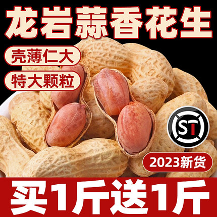 龙岩蒜香花生2023年新带壳坚果农家炒货零食批发即食下酒菜5斤装