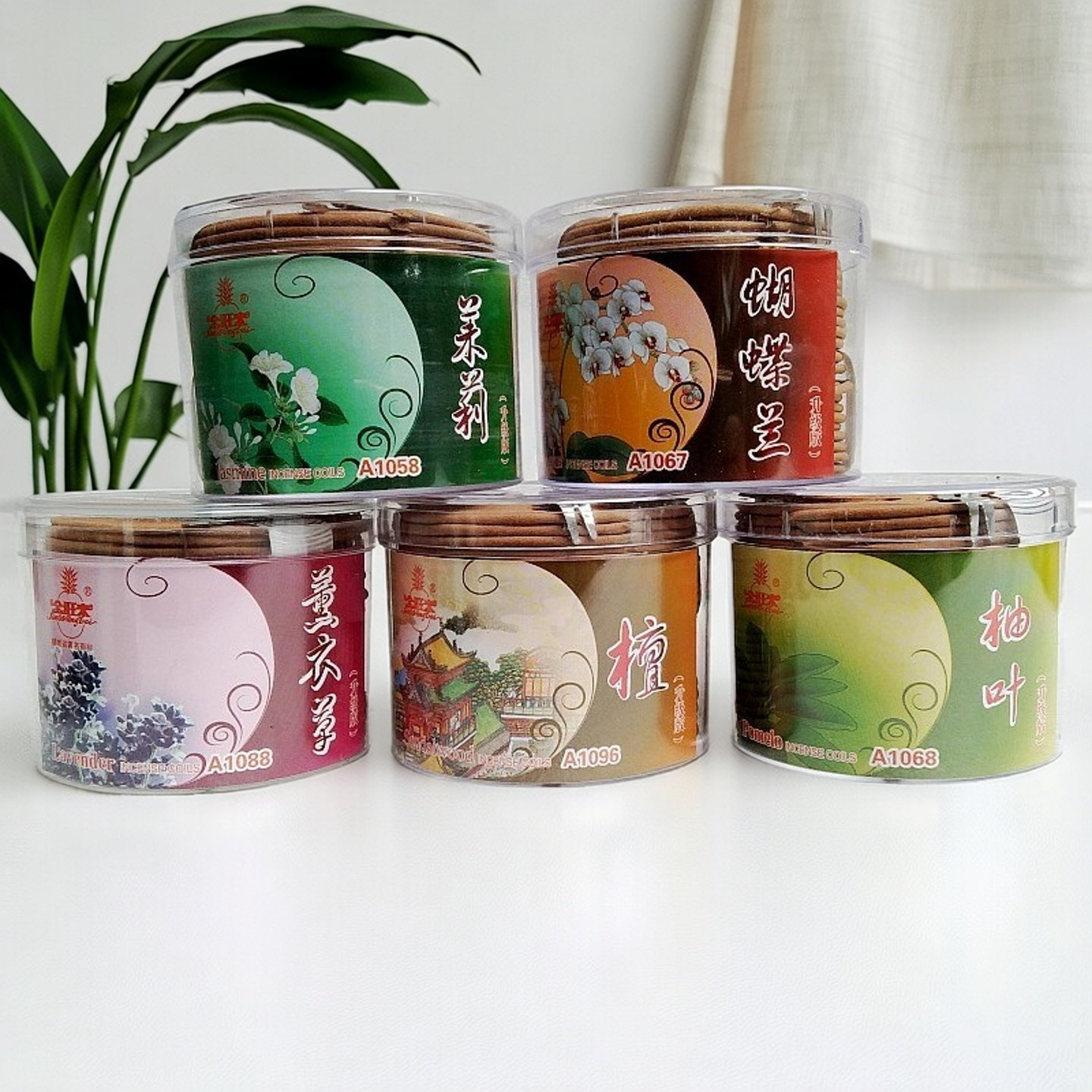 金旺来茉莉蝴蝶兰薰衣草5盒包邮