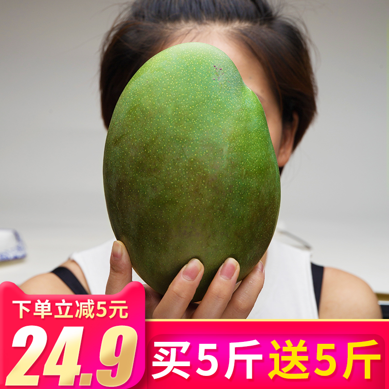 四川攀枝花凱特大芒果特大青芒果整箱10斤批發包郵當季新鮮水果