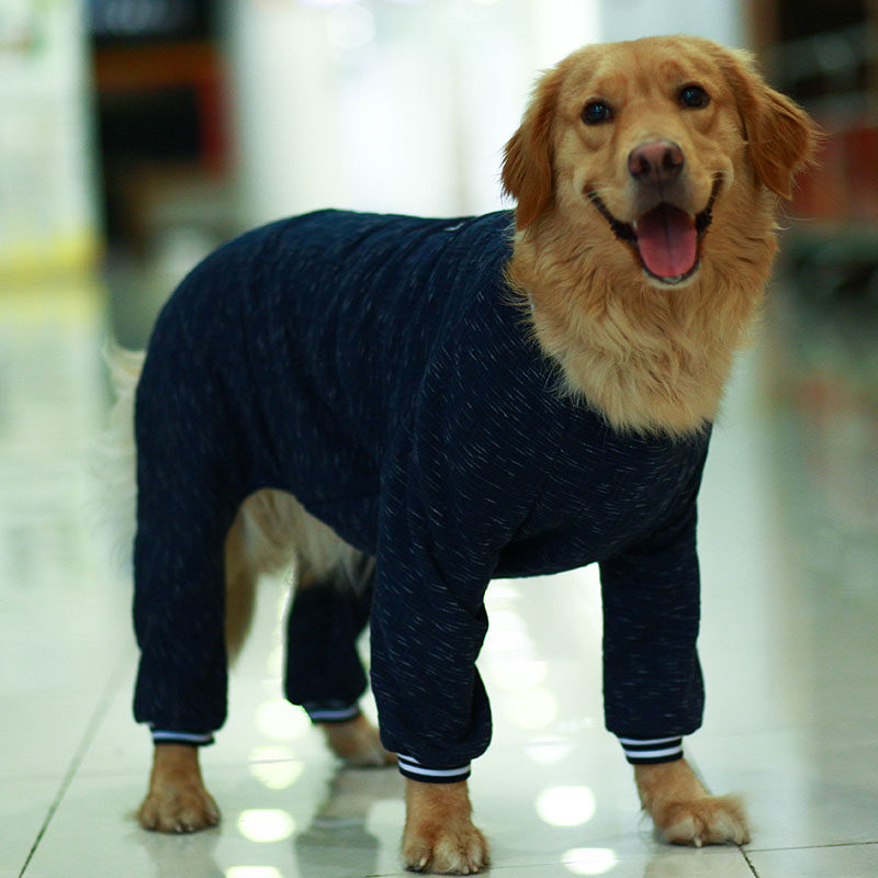 宠物狗狗衣服秋冬装金毛拉布拉多萨摩护关节防掉毛中型大型犬四脚