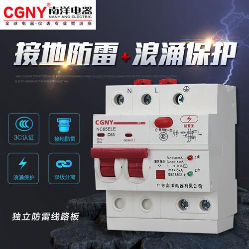 广东南洋电器漏电保护器家用总开关防雷浪涌电热水器断路器220V63