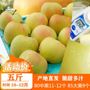 2025年正宗青森水蜜桃苹果青岛特产明月新鲜水果纯甜 包邮