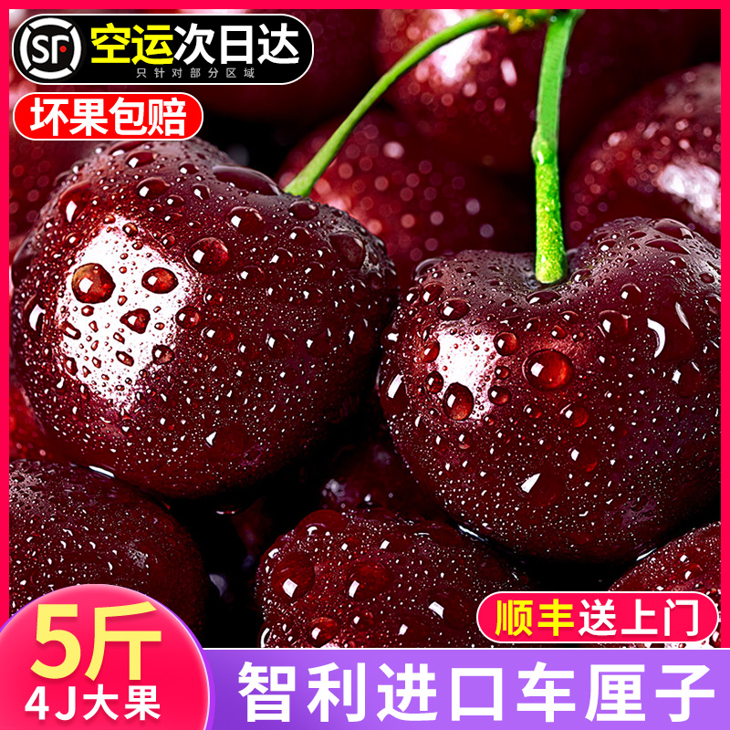 礼盒装丨智利车厘子5斤进口新鲜水果应当季整箱樱桃孕妇顺丰包邮