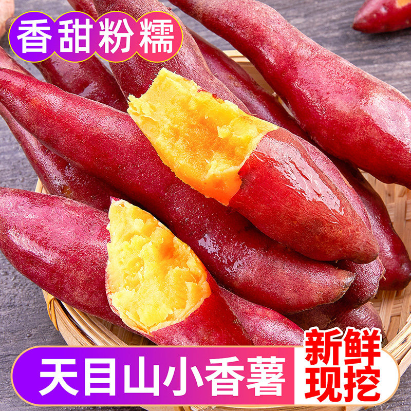 临安天目山小香薯5斤板栗红薯新鲜农家自种小番薯地瓜山芋10整箱