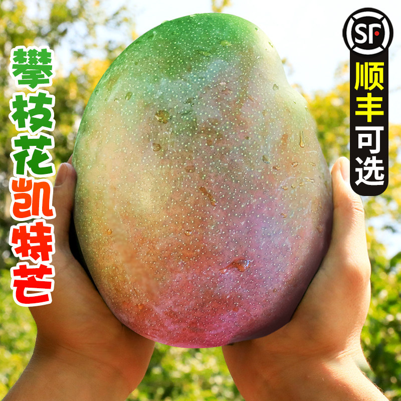 四川攀枝花凯特芒果10斤新鲜水果当季整箱忙青皮特大芒果包邮现货怎么样,好用不?