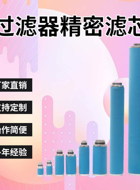 替代德国超滤空压机精密管道滤芯07/25 05/30 PE/FF/MF/SMF/AK/SF