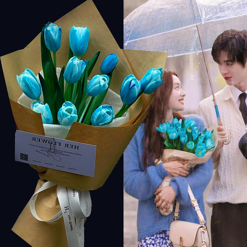 张凌赫同款蓝色郁金香花束生日表白鲜花北京上海广州深圳全国速递