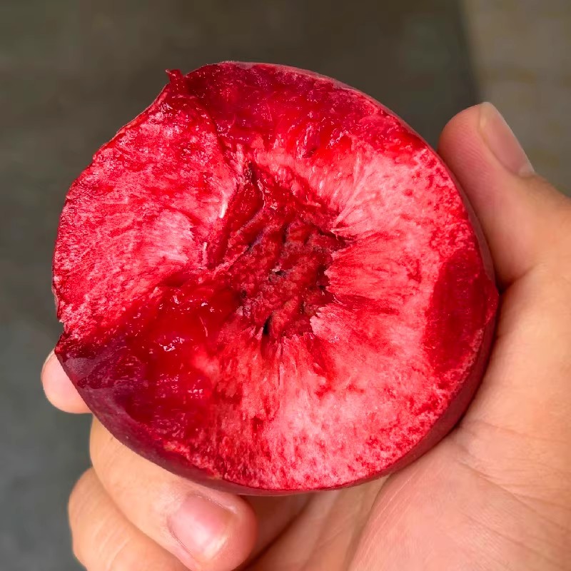 现摘农家朱砂红胭脂红血桃中华老树血桃5斤新鲜水蜜桃子当季整箱