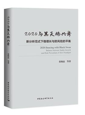 2020与黑天鹅共舞新分析范式下稳增长与防风险的平衡包邮张晓晶
