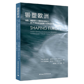 爱丽舍宫条约 德国和从 到21世纪政治 嵌入式 锻塑欧洲 双边主义 法国