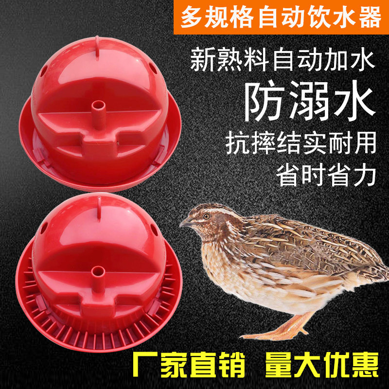 新款鹌鹑育雏饮水器鹌鹑苗育雏自动喂水器碗料槽水槽塑料养殖设备,畜牧/养殖物资,畜牧/养殖器械,淘宝优惠券,粉丝福利购,淘宝优惠卷