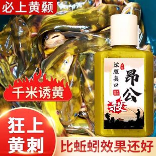 黄辣丁小药饵料窝料添加剂专钓黄骨鱼昂刺鱼嘎鱼黄颡昂公专用小药
