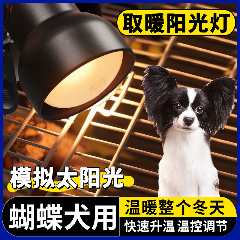蝴蝶犬专用狗狗取暖灯冬天宠物保温灯幼犬小狗过冬神器恒温加热灯