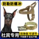 杜宾专用牵引绳狗链狗狗大型犬狗绳子项圈脖圈不勒脖子防爆冲加粗