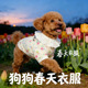 全棉纱透气 宠物小型犬背心小狗春夏天季 泰迪专用狗狗衣服春装 薄款