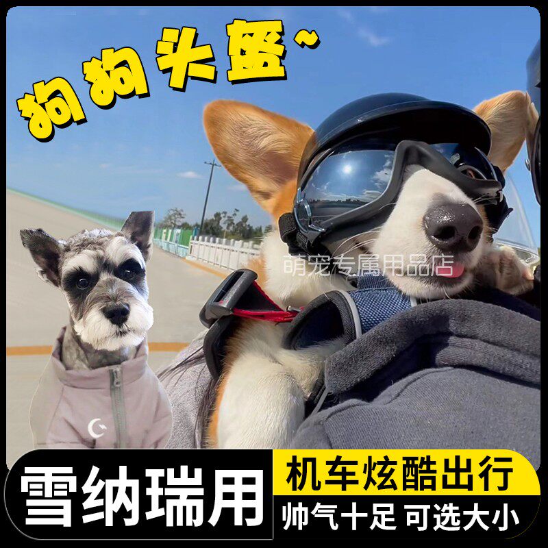 雪纳瑞专用狗狗护目镜宠物头盔机车漏耳朵安全帽骑行小狗眼镜防风