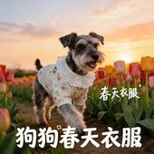 雪纳瑞专用狗狗衣服春装 全棉纱透气宠物小型犬背心小狗春夏天 薄款