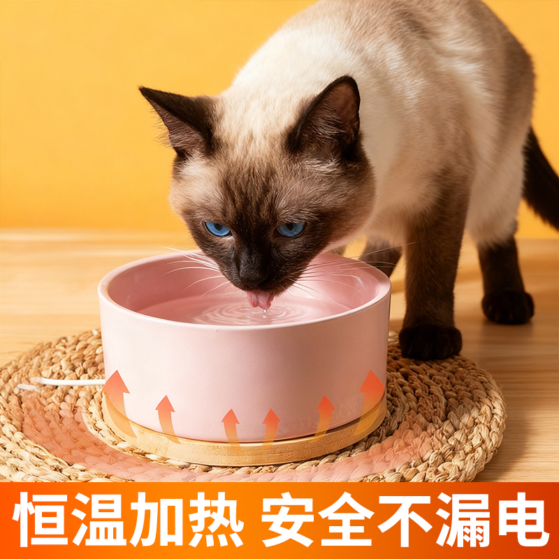 暹罗猫专用恒温猫咪饮水机宠物喝水酸奶机冬天喝水加热器陶瓷水碗