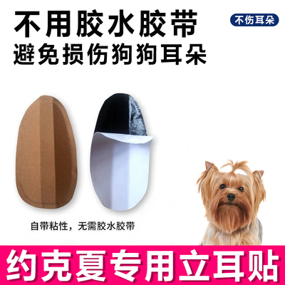 约克夏专用小狗立耳神器狗狗立耳贴耳朵套立耳器辅助固定支架胶水