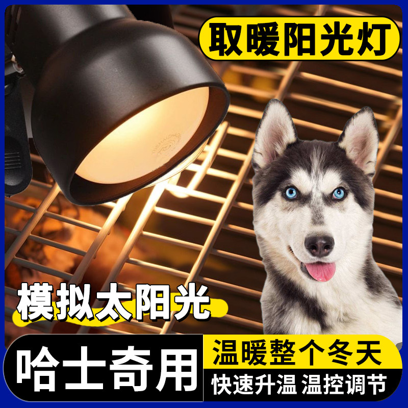 哈士奇专用狗狗取暖灯冬天宠物保温灯幼犬小狗恒温加热灯发热生产