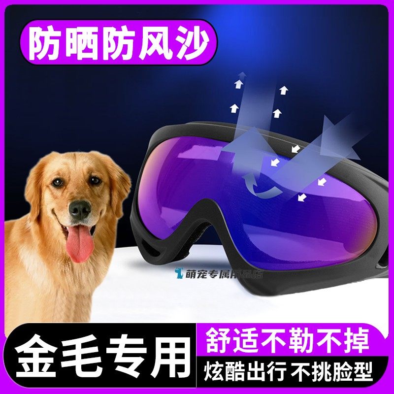 金毛专用狗狗眼镜小狗护目镜宠物配饰墨镜佩戴外出用品大型犬防风