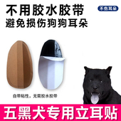 五黑犬用小狗立耳神器狗狗立耳贴耳朵套支架立耳器辅助器固定胶水