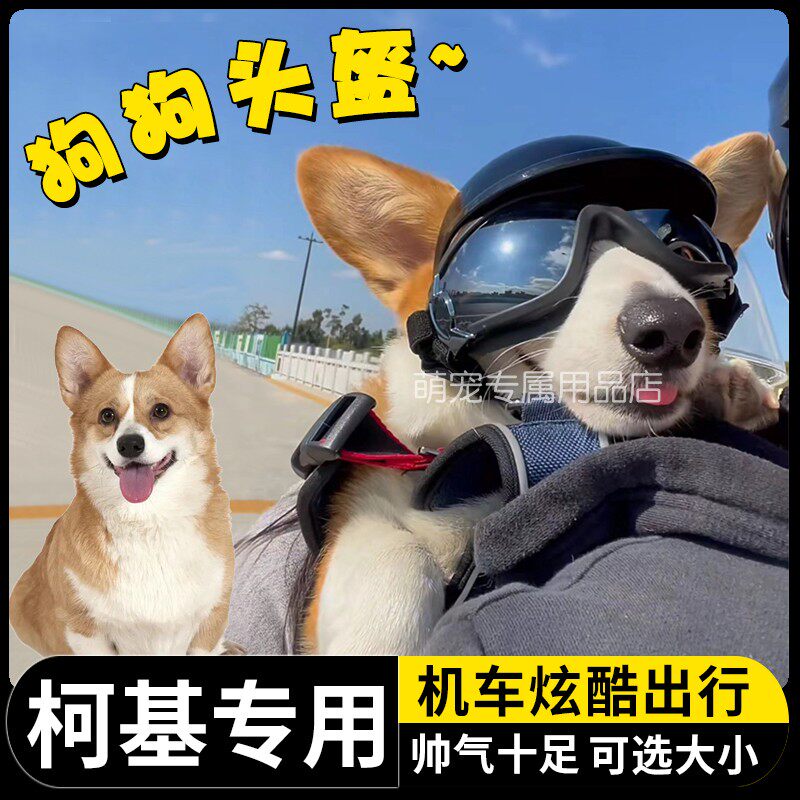 柯基专用狗狗护目镜宠物头盔机车可漏耳朵骑行小狗眼镜防风中型犬