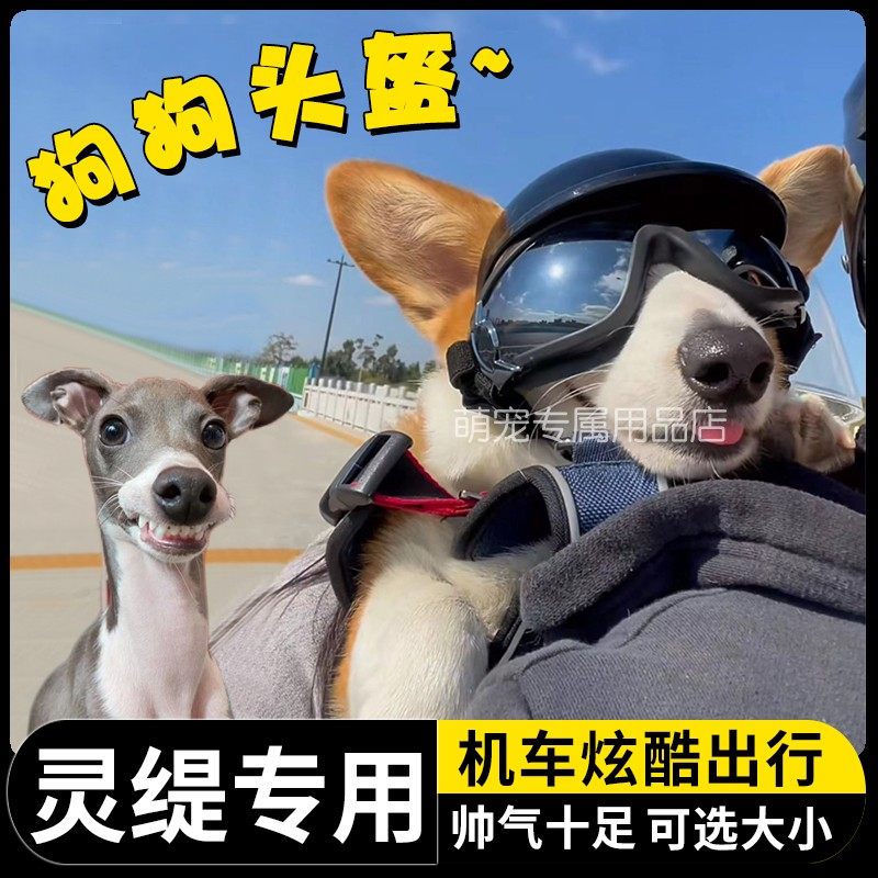 灵缇专用狗狗护目镜宠物头盔机车漏耳朵骑行小狗眼镜防风沙安全帽