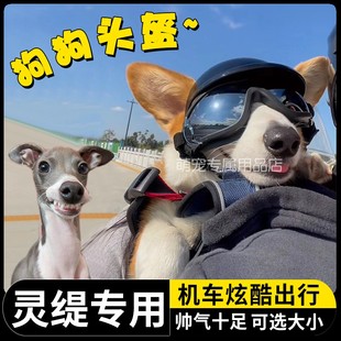 灵缇专用狗狗护目镜宠物头盔机车漏耳朵骑行小狗眼镜防风沙安全帽