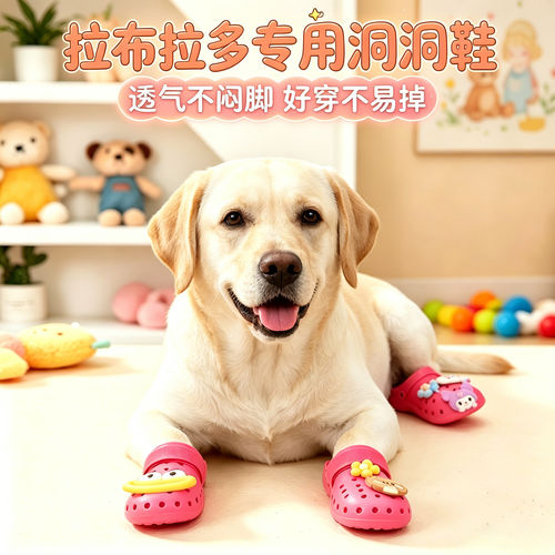 拉布拉多专用幼犬狗狗凉鞋小狗鞋子夏透气宠物狗鞋夏季洞洞鞋防脏