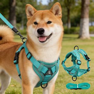 狗狗胸背牵引绳小型犬高颜值一体红色轻薄新年可爱过年背心式柴犬