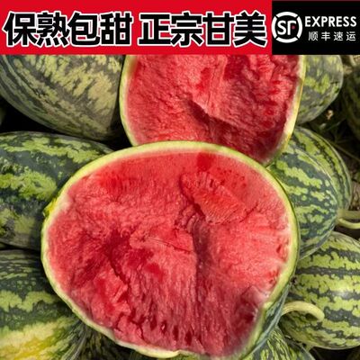 战神甘美4K脆甜沙爽口