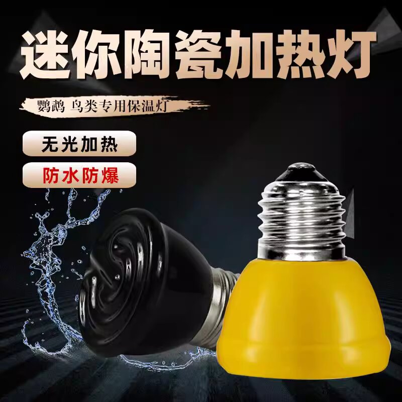 小鸡小鸭小鸡鹦鹉无光陶瓷保温