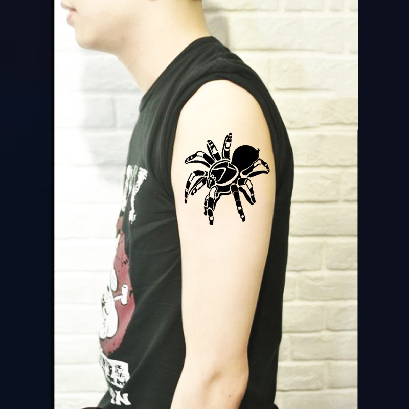 3d立体蜘蛛纹身模板果汁海娜膏纹绣喷绘通用加厚可重复用镂空板