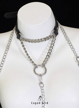Puppy*抽拉项圈女颈圈黑色圆环锁骨链高级感抽拉收紧朋克风饰品