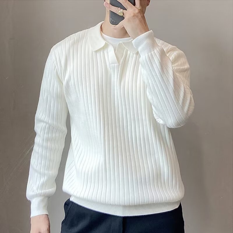 轻熟风坑条肌理感v领毛衣男士高级感秋季穿搭韩版针织polo衫上衣