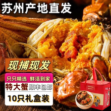 【活蟹】苏州特大阳澄湖镇大闸蟹礼鲜活公蟹5两母蟹4两10只礼盒装