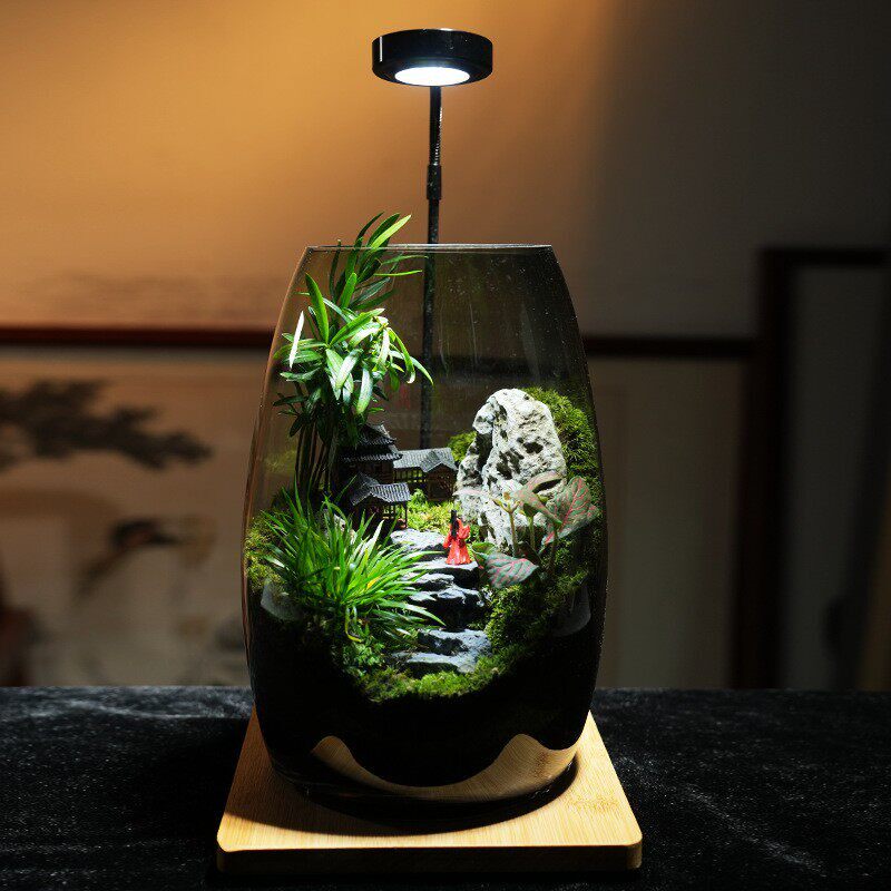 苔藓微景观生态瓶玻璃造景植物盆景办公室桌面diy盆栽装饰小摆件